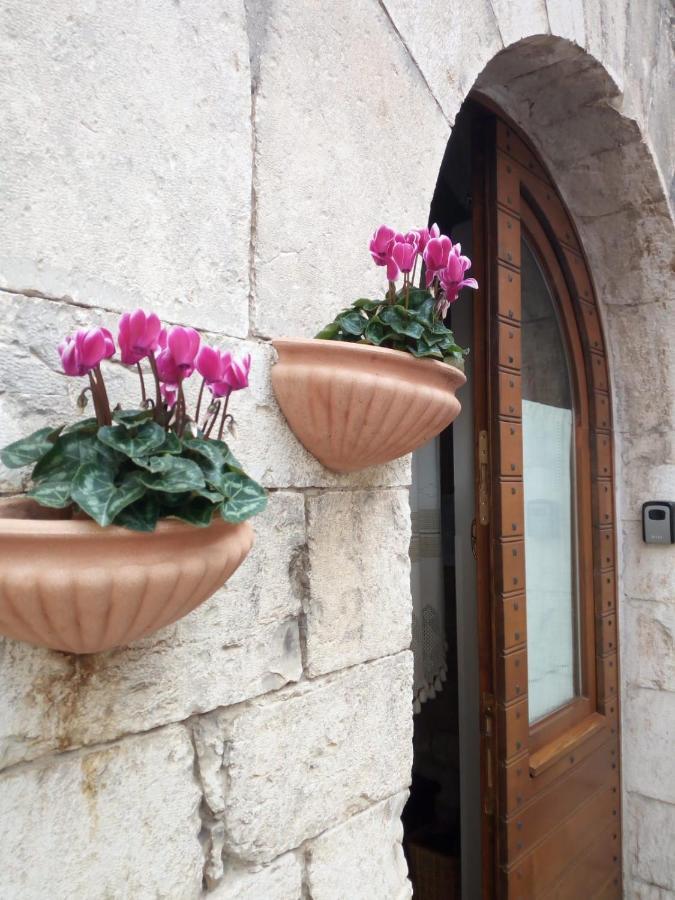 La Chiocciola Assisi Apartment ภายนอก รูปภาพ